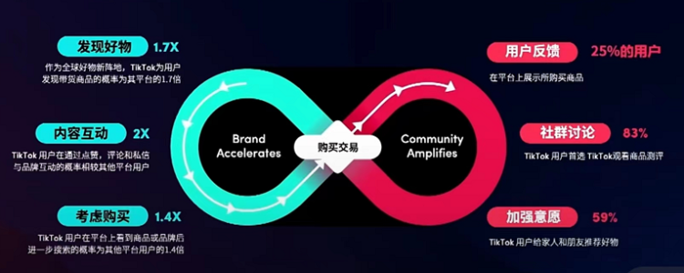 “无限循环”营销体验，图源：TikTok for Business