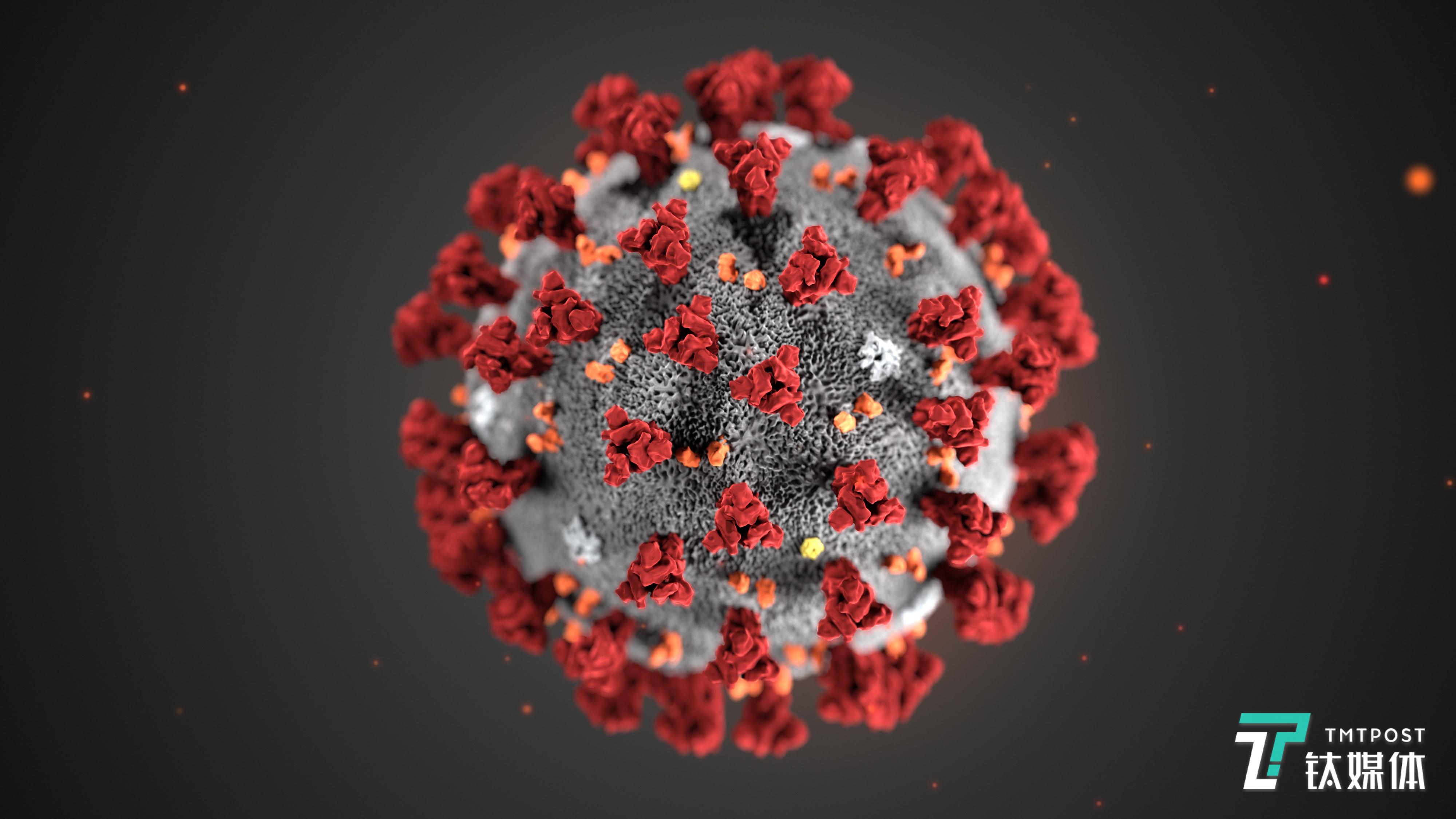 新冠病毒渲染图（来源：科学图片库）