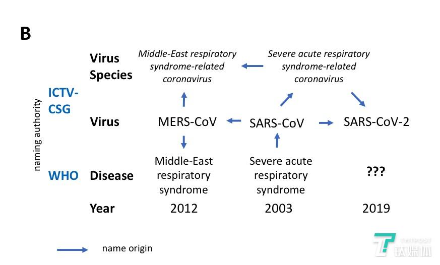 新冠病毒和新冠肺炎之间命名来源区别